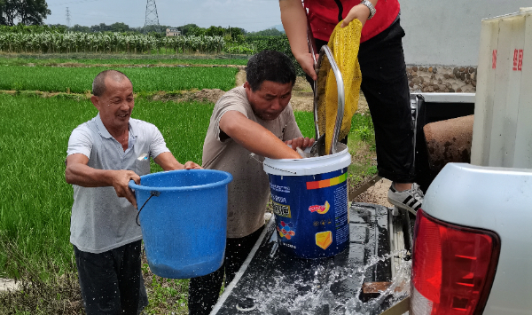 桂林市农科中心科技特派员到兴安县开展禾花鲤良种稻田投放活动