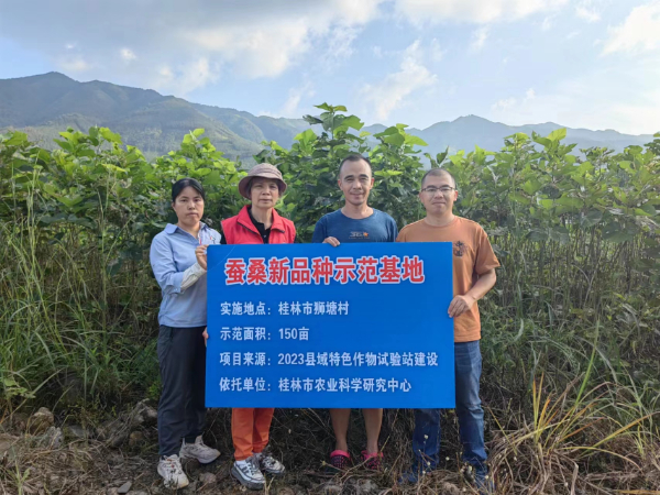 桂林市农科中心乡村科技特派员开展桑蚕生产调研及科技服务活动