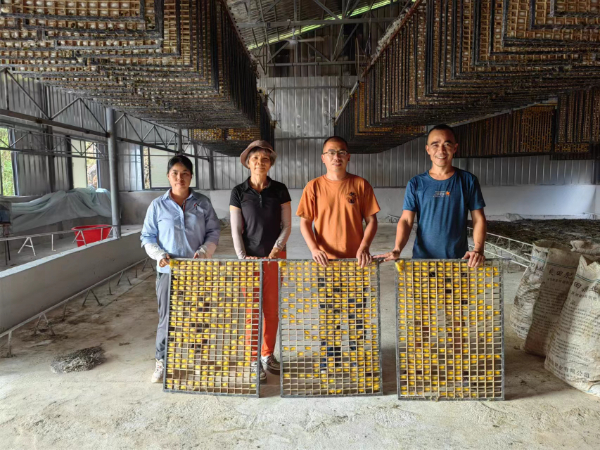 桂林市农科中心乡村科技特派员开展桑蚕生产调研及科技服务活动