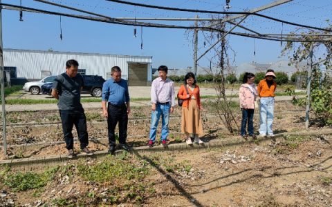 市农科中心主任李家文带队赴中国科学院麻类研究所调研