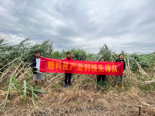 糖料蔗产业科技先锋队在桂林指导甘蔗灾后生产
