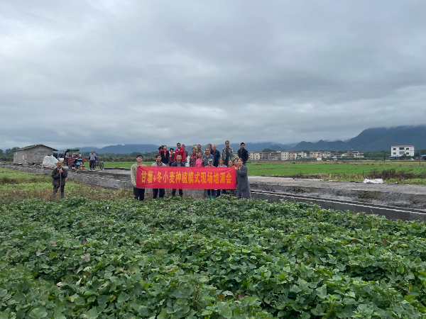 广西薯类创新团队桂北综合试验站在灌阳县举办“甘薯+冬小麦”种植模式现场培训会