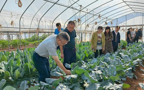 桂林市秀峰区政协到市农科中心考察交流