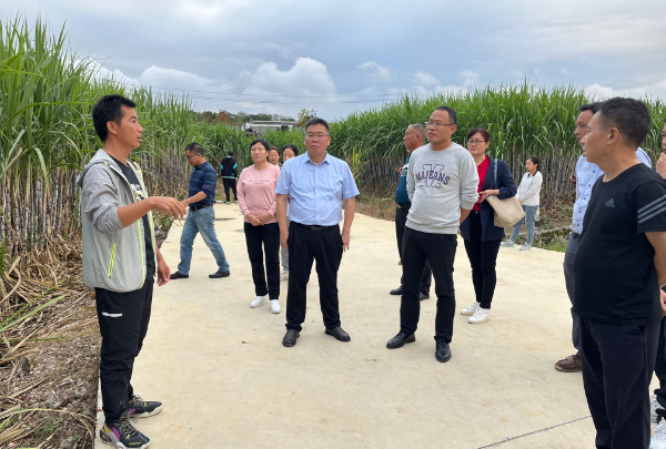 糖料产业技术体系岗位科学家以及综合试验站专家莅临桂林调研指导