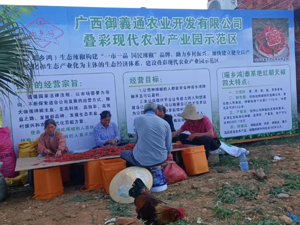 桂林市农科中心科技特派员到叠彩区四联村开展科技服务