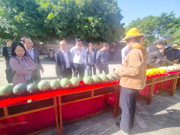 西甜瓜桂林综合试验站参加广西果树产业高质量发展研讨会