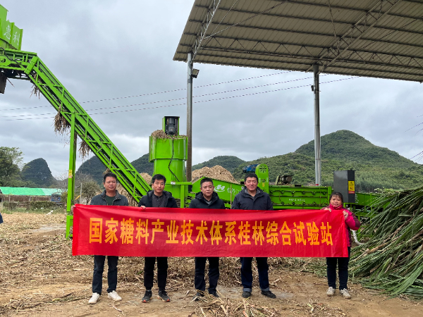 国家糖料产业技术体系桂林综合试验站到鹿寨、宜州示范县指导甘蔗防冻减灾技术