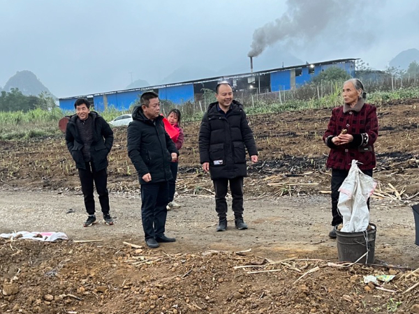 国家糖料产业技术体系桂林综合试验站到鹿寨、宜州示范县指导甘蔗防冻减灾技术