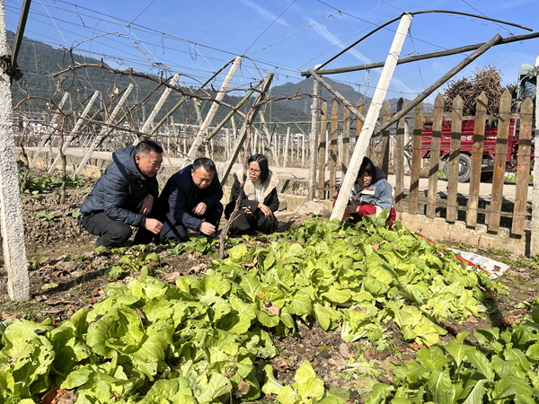 市专家人才第四帮扶团赴资源县开展蔬菜调研指导