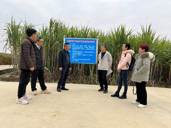 糖料产业技术体系甘蔗机械化栽培岗位团队莅临桂林调研指导工作