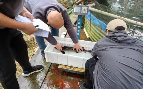 农科中心承担的“高寒山区冷水鱼生态养殖科技成果推广示范”项目通过现场查定