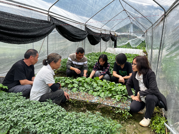 广西乡村振兴重点帮扶县科技特派团资源团开展科技服务