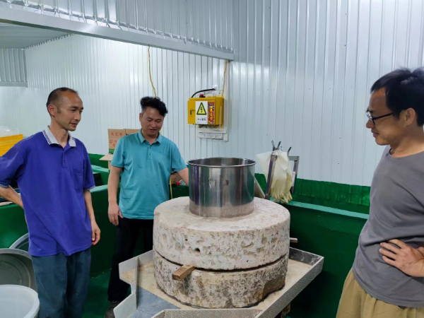 国家木薯产业技术体系桂林综合试验站赴来宾、柳州等地开展春耕调研和科技服务