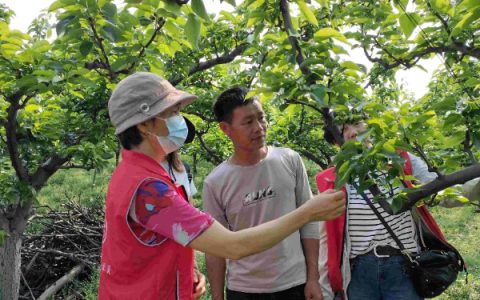 农科中心科技特派员到临桂区会仙镇助力当地春耕生产