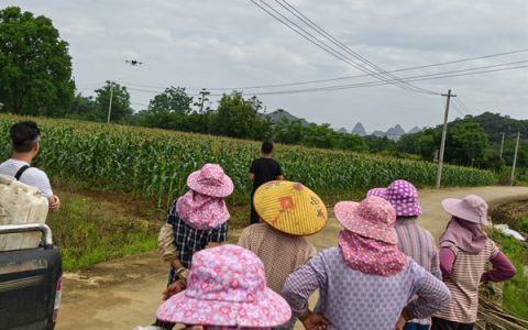 国家木薯产业技术体系桂林综合试验站召开无人机植保现场会