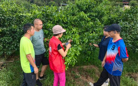 农科中心科技特派员赴恭城县调查和指导果树生产