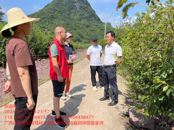 农科中心科技特派员赴恭城县调查和指导果树生产