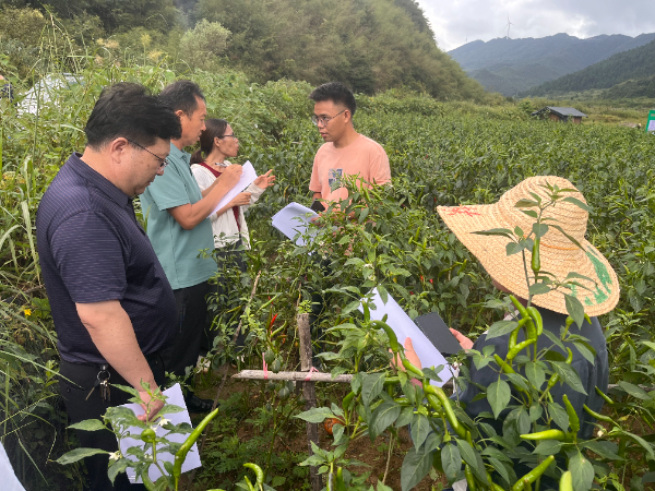 市农科中心承担“茄果类蔬菜青枯病绿色防控关键技术研究与应用”项目通过现场查定