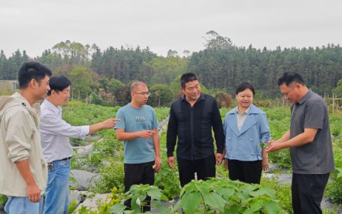 中国农业科学院麻类研究所许英一行到农科中心交流指导