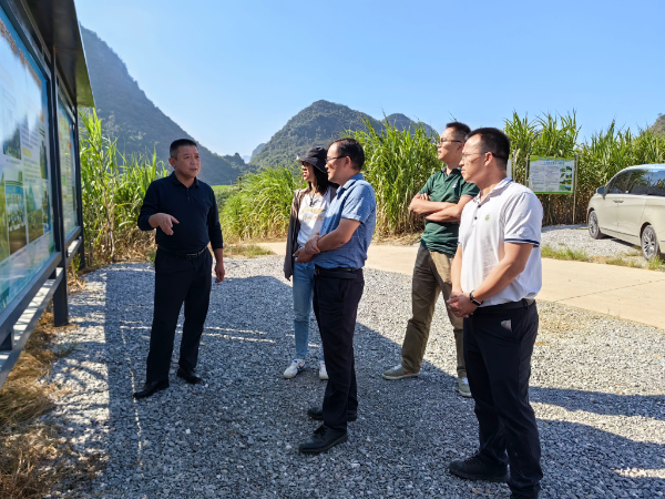 国家糖料产业技术体系养分管理与土壤肥料岗位科学家敖俊华等一行到桂林综合试验站调研指导