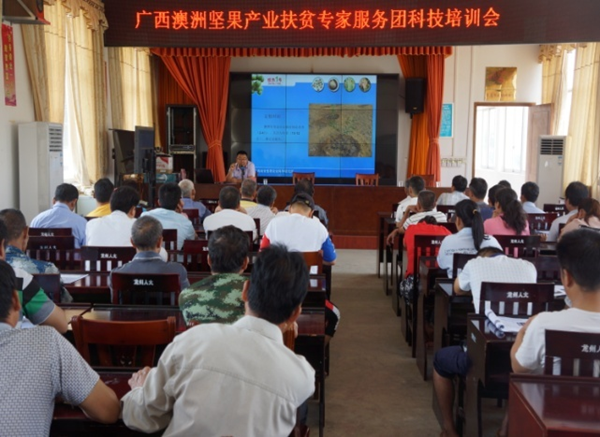 广西南亚所乡村科技特派员赴百色市林业局开展澳洲坚果科学种植培训