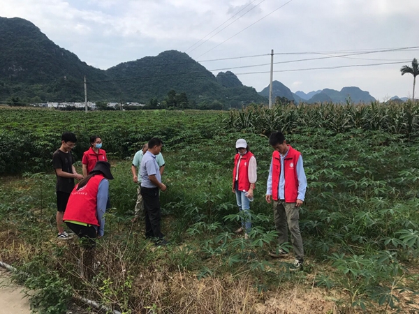 广西南亚所基地管理党支部赴天等县开展“党建引领 科技下乡 助推乡村振兴”主题党建活动