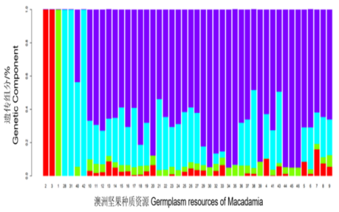 攻克澳洲坚果产业关键技术，助力“坚果产业”发展成乡村振兴“好产业”—记2021年度广西科学技术进步奖“澳洲坚果产业关键技术创新与应用”