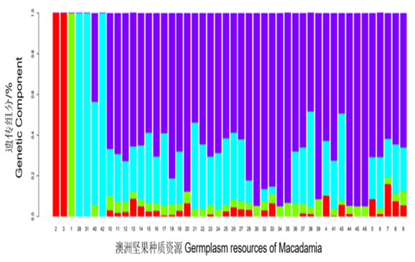 攻克澳洲坚果产业关键技术，助力“坚果产业”发展成乡村振兴“好产业”—记2021年度广西科学技术进步奖“澳洲坚果产业关键技术创新与应用”