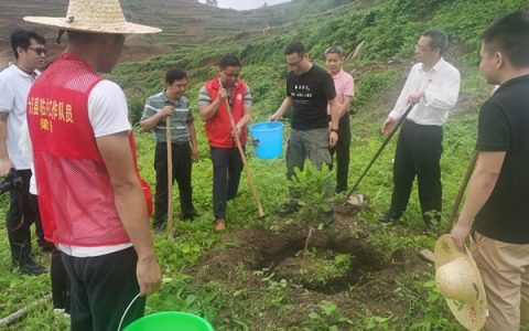 广西南亚所乡村科技特派员前往大新县开展科技服务