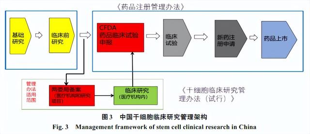 干细胞临床研究及管理的现状与未来（干细胞的临床研究进展）