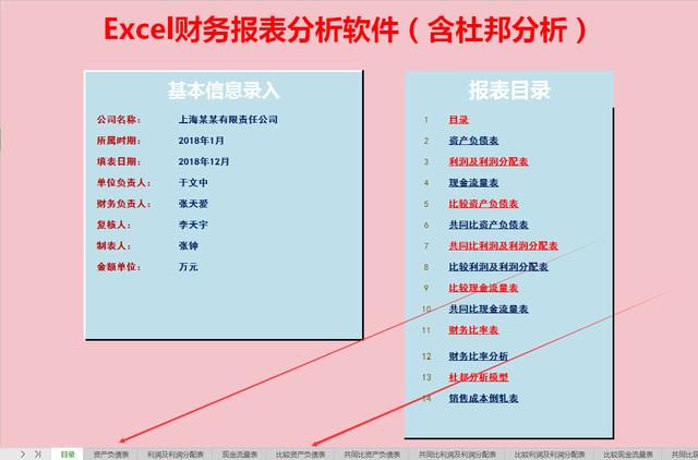 财务必备：完整版Excel财务报表分析软件（含杜邦分析）收藏备用（财务分析以excel为分析工具pdf）