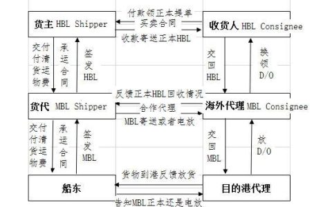 货代的作用及运作流程简介（货代操作职责）