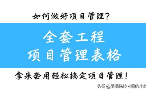 全套工程项目管理表格，共378个模板，拿来套用轻松搞定项目管理（工程项目管理实用手册）