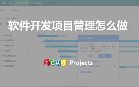 软件开发项目组的项目管理怎么做（软件开发项目组的项目管理怎么做的）