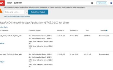 超好用的RAID卡管理工具MSM（Linux篇）（msm管理软件raid）