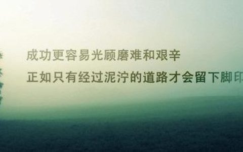 房地产项目管理的常见问题以及解决思路（房地产项目管理的常见问题以及解决思路论文）