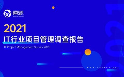 禅道：2021年IT行业项目管理调查报告，完整版53页