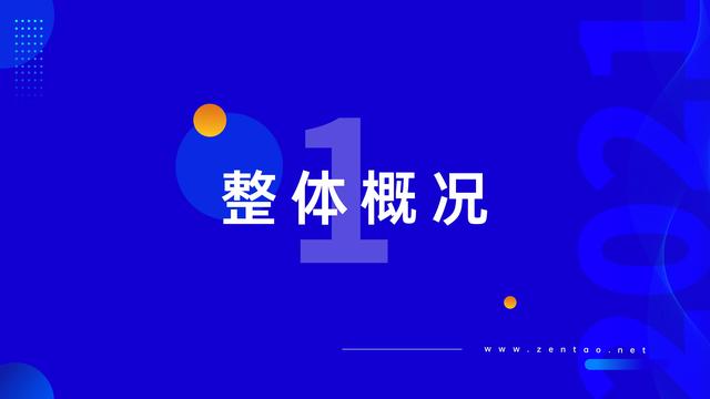 禅道：2021年IT行业项目管理调查报告，完整版53页