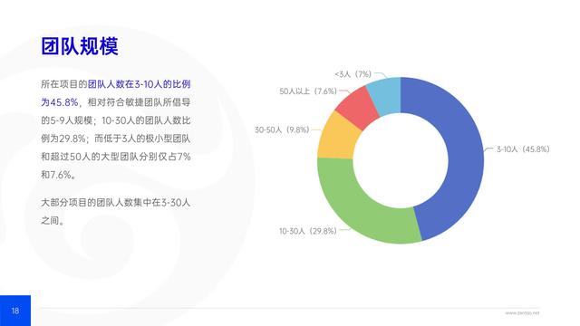 禅道：2021年IT行业项目管理调查报告，完整版53页