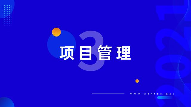 禅道：2021年IT行业项目管理调查报告，完整版53页