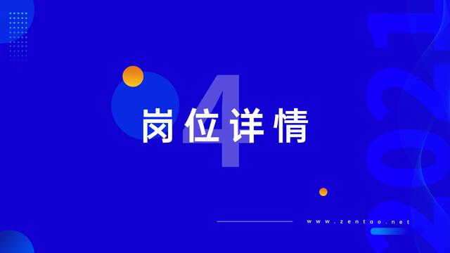 禅道：2021年IT行业项目管理调查报告，完整版53页