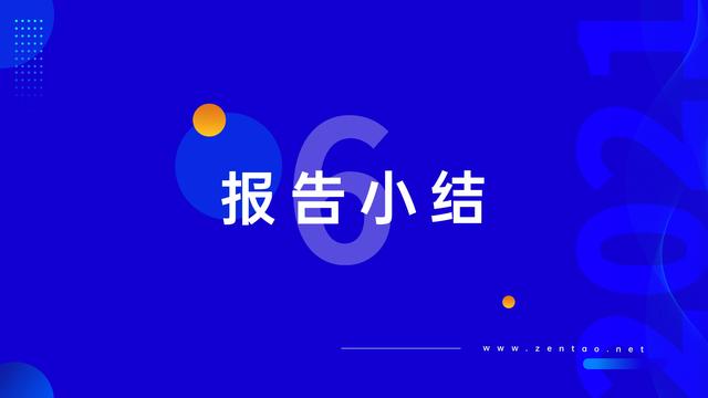 禅道：2021年IT行业项目管理调查报告，完整版53页