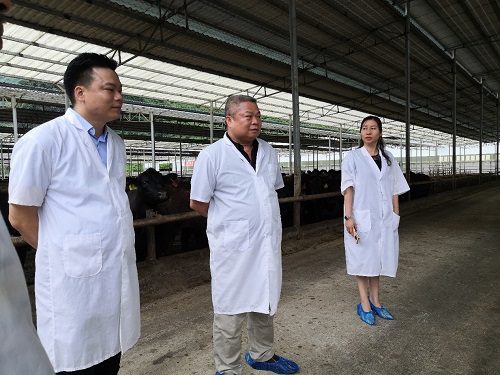 广西畜牧研究所联合企业加快畜禽繁育技术研发人才小高地建设发展