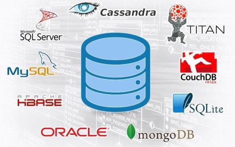 支持多种数据库的管理软件-Database .NET（五种常用的数据库管理系统软件）
