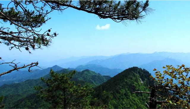 “绿水青山就是金山银山” 实践模式与典型案例（5）丨安徽省岳西县打好全域有机“生态牌