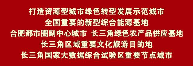 举力推进项目建设 - 抢时间赶进度 抓安全保质量（抓进度保质量促安全,全力推进项目）