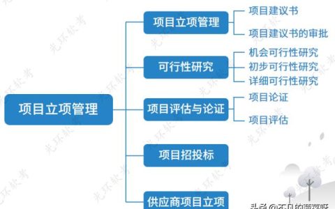 项目立项管理（项目立项管理办法）