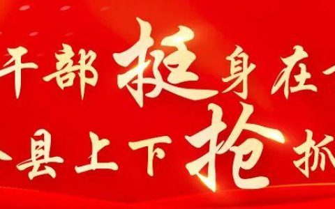 由“治”到“管”桃花江镇付费制推进人居环境再提升